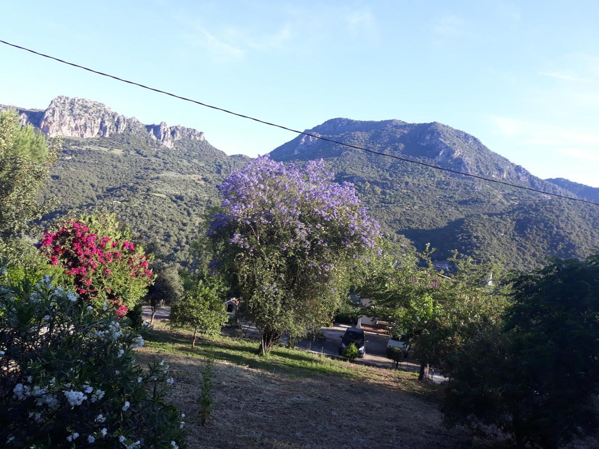 Casa Rural La Fresneda Ubrique Dış mekan fotoğraf